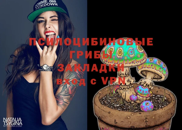 крисы Покровск
