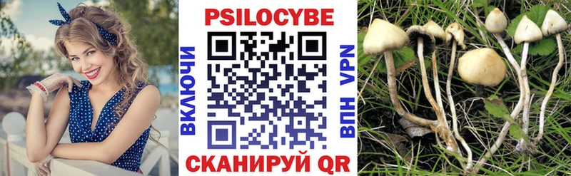 Псилоцибиновые грибы Cubensis  дарнет шоп  Нариманов 